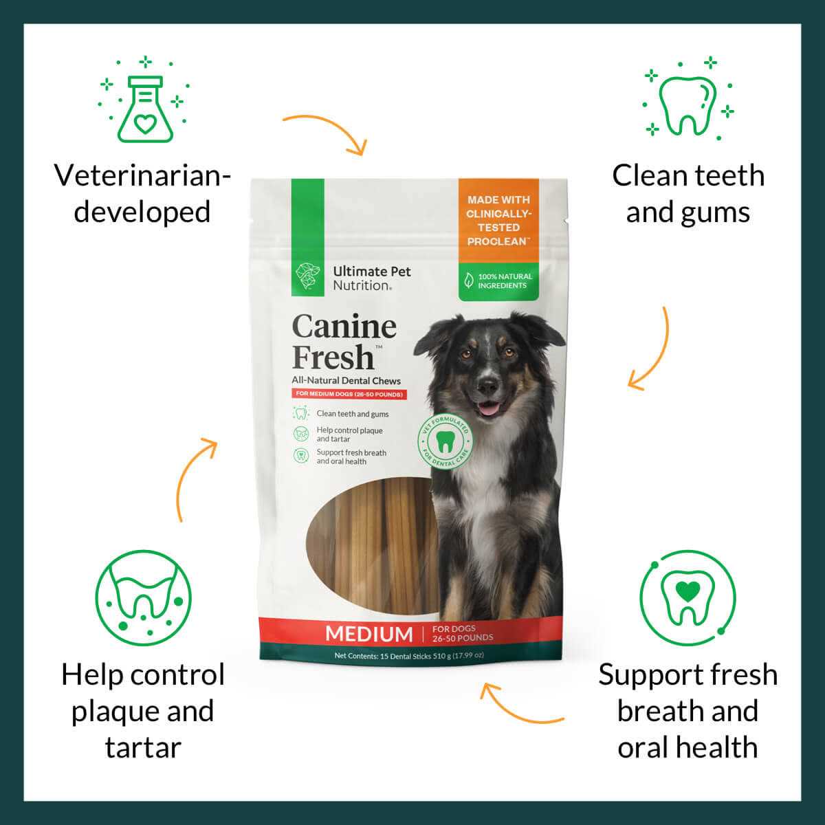 All Natural Canine Dental Chews Sticks C5711