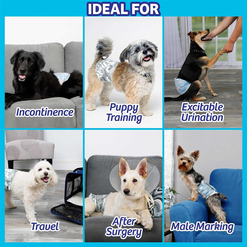 Disposable Male Dog Wraps V439