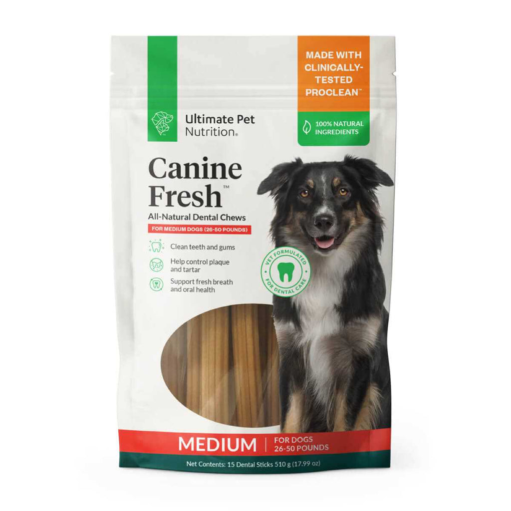 All Natural Canine Dental Chews Sticks C5711
