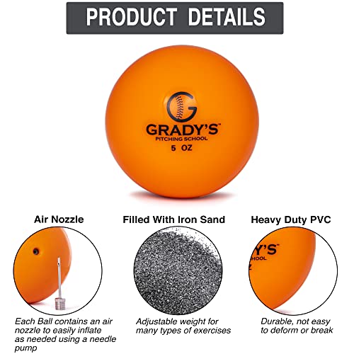 Weighted Training Ball Set with Carrying Case Q46543