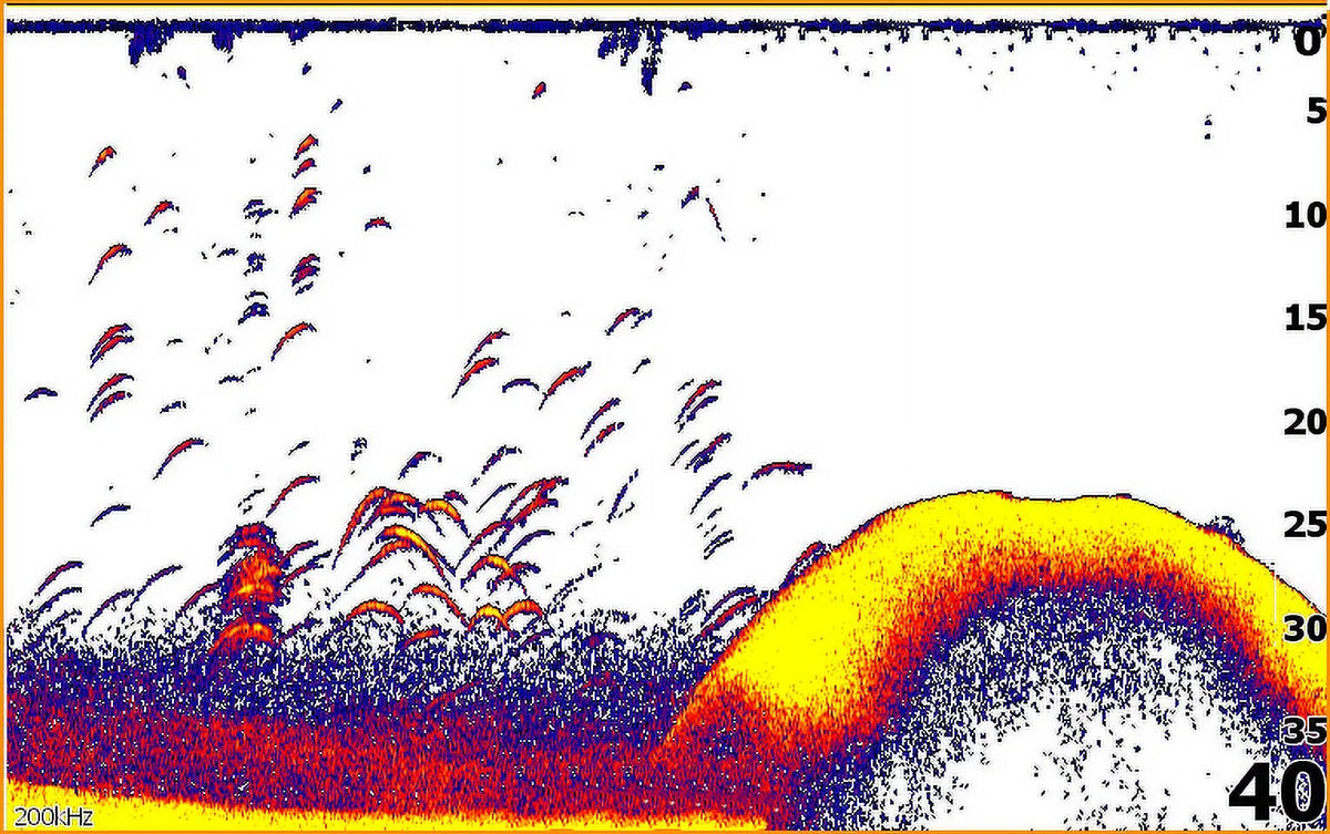 Fish finder with Down scan Imaging P492606