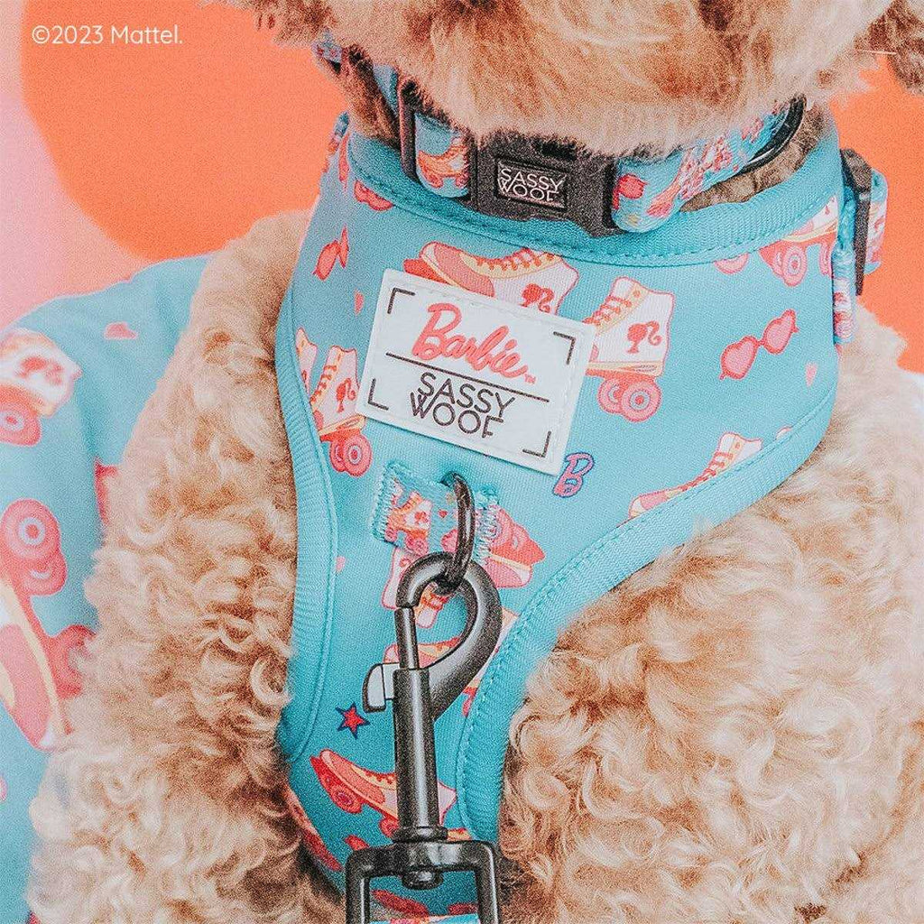 Dog Collar Z150259