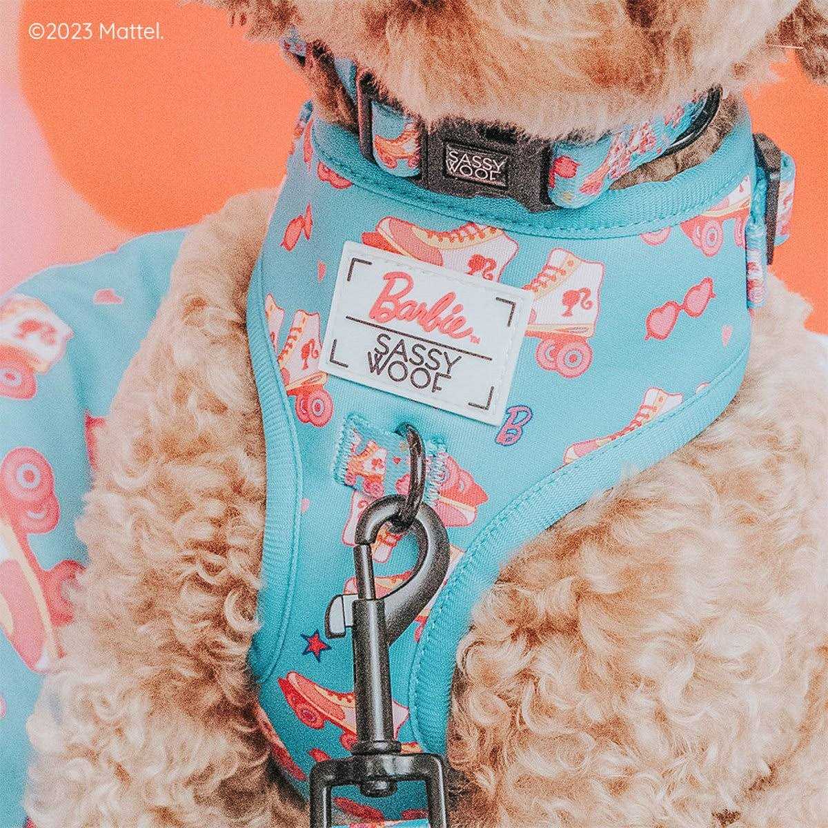 Dog Collar Z150259